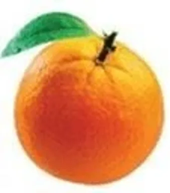 Orange Democratic Movement